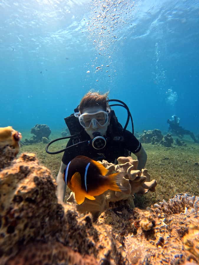 Aqaba: Private Red Sea Diving for Beginner or Experienced - Photos and videos that make the $50 worthwhile