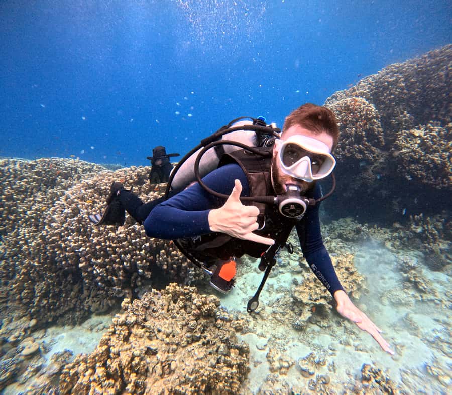 Aqaba: Private Red Sea Diving for Beginner or Experienced - Health rules and timing around flights