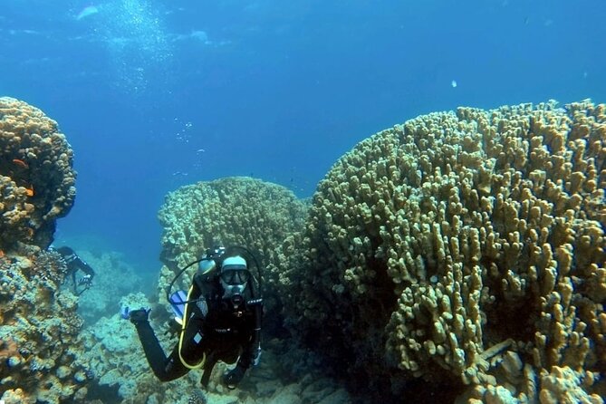 Aqaba Private Scuba Diving Activity with Pick Up - Arriving at Hammerhead on King Hussein Street