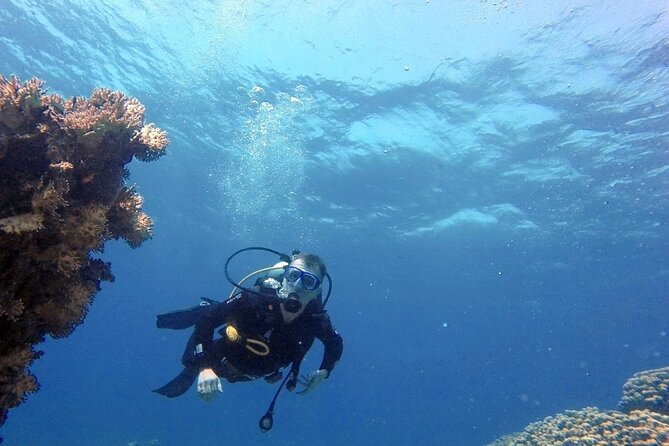 Aqaba Private Scuba Diving Activity with Pick Up - Meeting the guide and getting comfortable underwater
