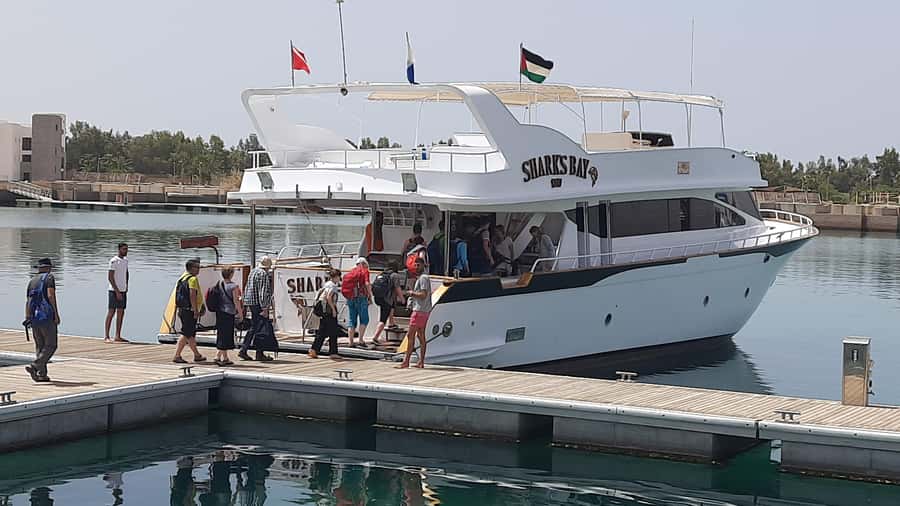 Aqaba: Red Sea Snorkeling Boat Trip with Buffet Lunch - What You See Beneath Aqaba’s Clear Water
