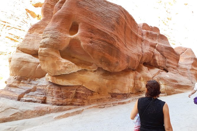 Best of Jordan in 7 Days (customizable) - Day 4: A full day inside Petra