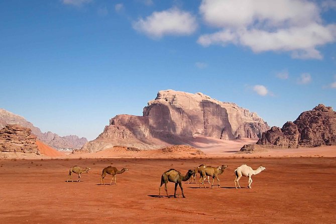Best of Jordan Tour Amman Petra and Dead Sea with Camping at Wadi Rum - What the private format really adds