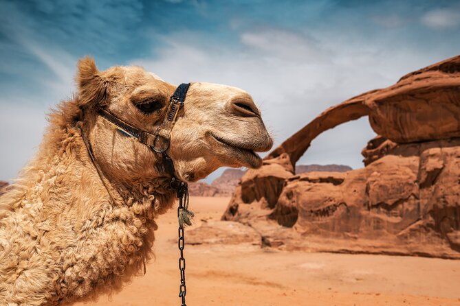 Best of Wadi Rum | Full day Jeep tour + Sleep under the stars | Pack all-in - What the $115.15 price really covers