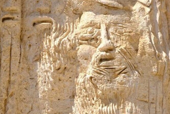 Bethany, Mt Nebo & Madaba Full-Day Private Tour from Amman - The driver, vehicle, and pace of the day