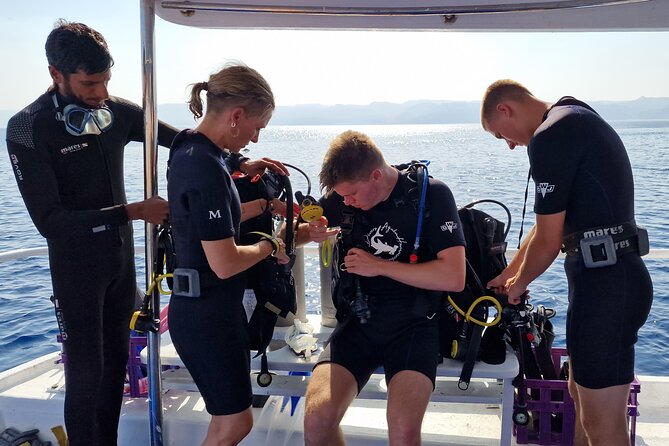 Boat Dive 2 Guided Dives with Lunch Included wreck dive&reef dive - Key points to know before booking