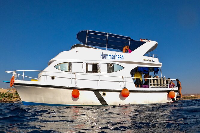 Boat Dive 2 Guided Dives with Lunch Included wreck dive&reef dive - Two different underwater worlds in one Aqaba day