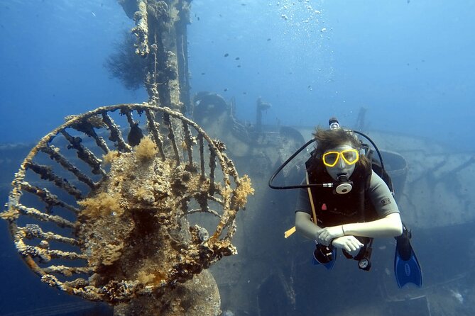 Boat Dive 2 Guided Dives with Lunch Included wreck dive&reef dive - Equipment, instruction, and comfort on board