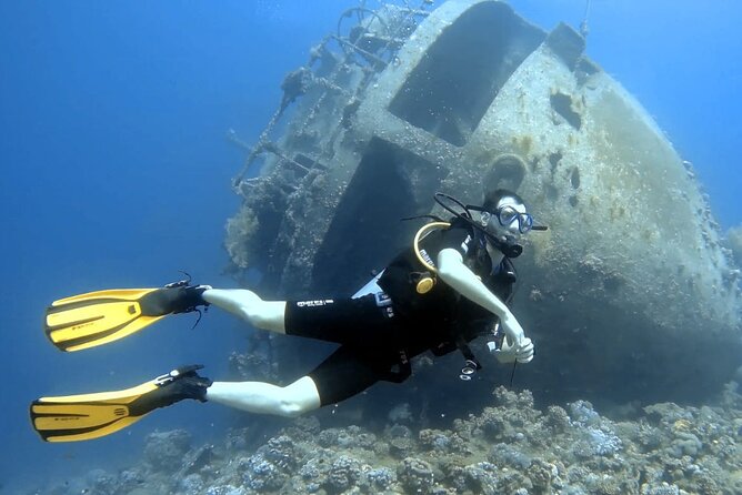 Boat Dive 2 Guided Dives with Lunch Included wreck dive&reef dive - Small choices that improve the day