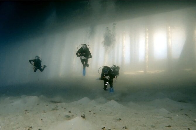 Boat Dive 2 Guided Dives with Lunch Included wreck dive&reef dive - What the 10:00 a.m. schedule means
