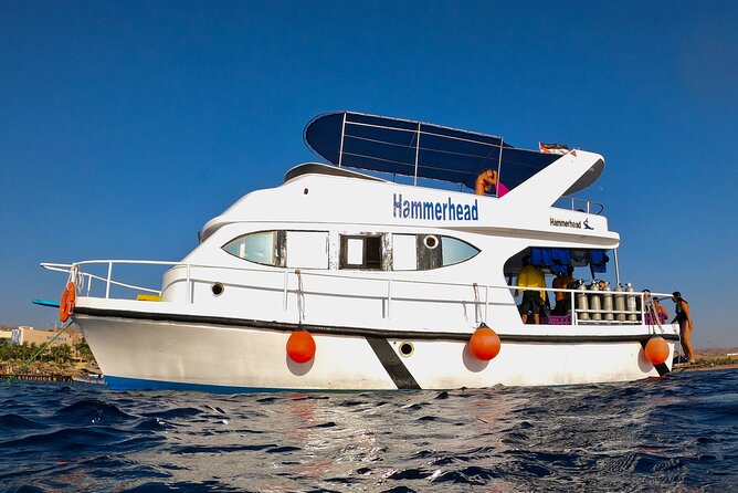 Boat Dive and Snorkeling Experience in Aqaba - The second stop: snorkeling at a different site