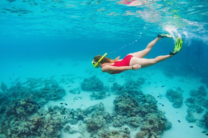Boat Dive and Snorkeling Experience in Aqaba - Pickup, timing, and practical planning