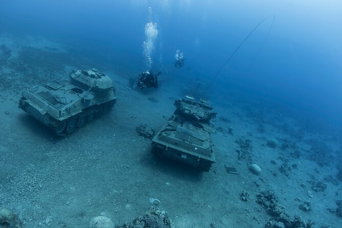 Boat Dive and Snorkeling Experience in Aqaba - Who will get the most from this boat trip