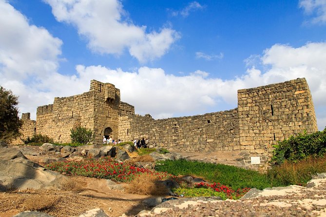 Day Tour Desert Castles & Azraq Wetland Reserve - Time, comfort, and what to bring