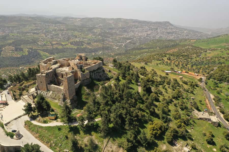 Day Tour Jerash - Ajloun and Um Qais From Amman - Key points to know before you book