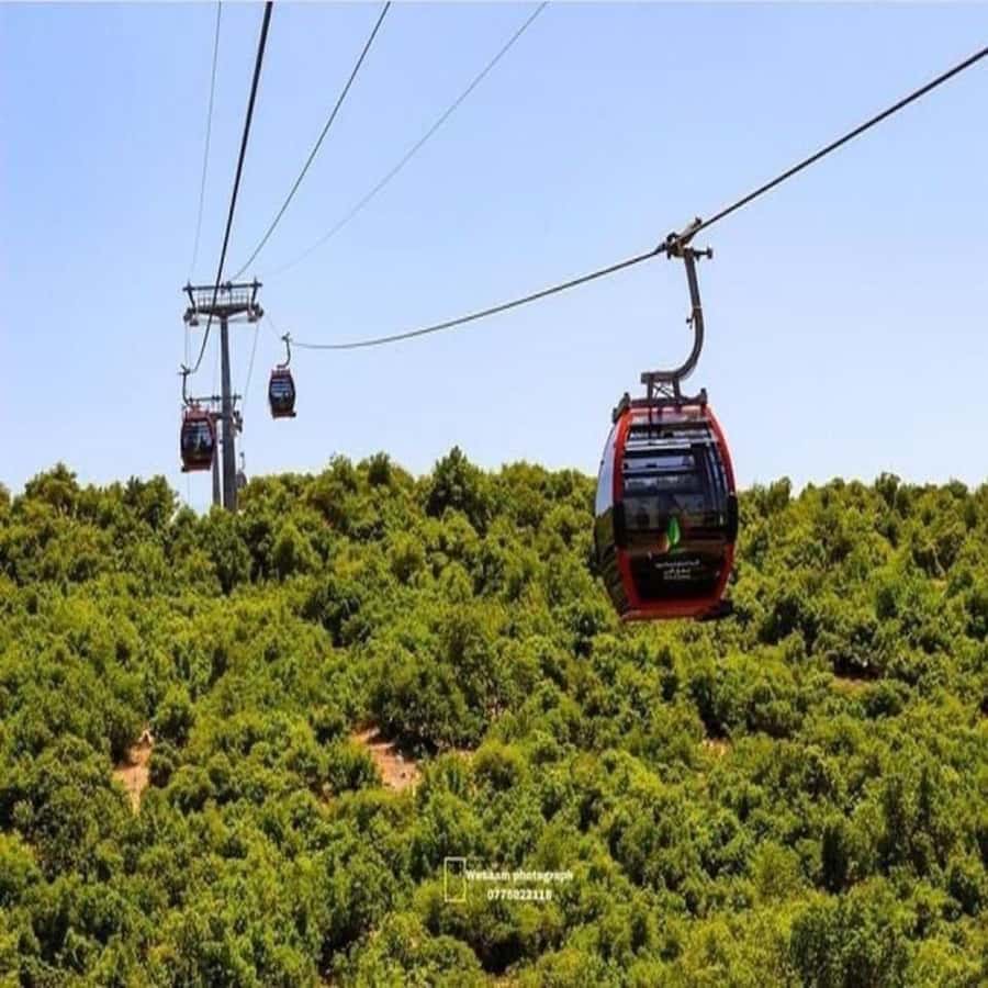 Day Tour Jerash - Ajloun and Um Qais From Amman - How to shape the day around your priorities