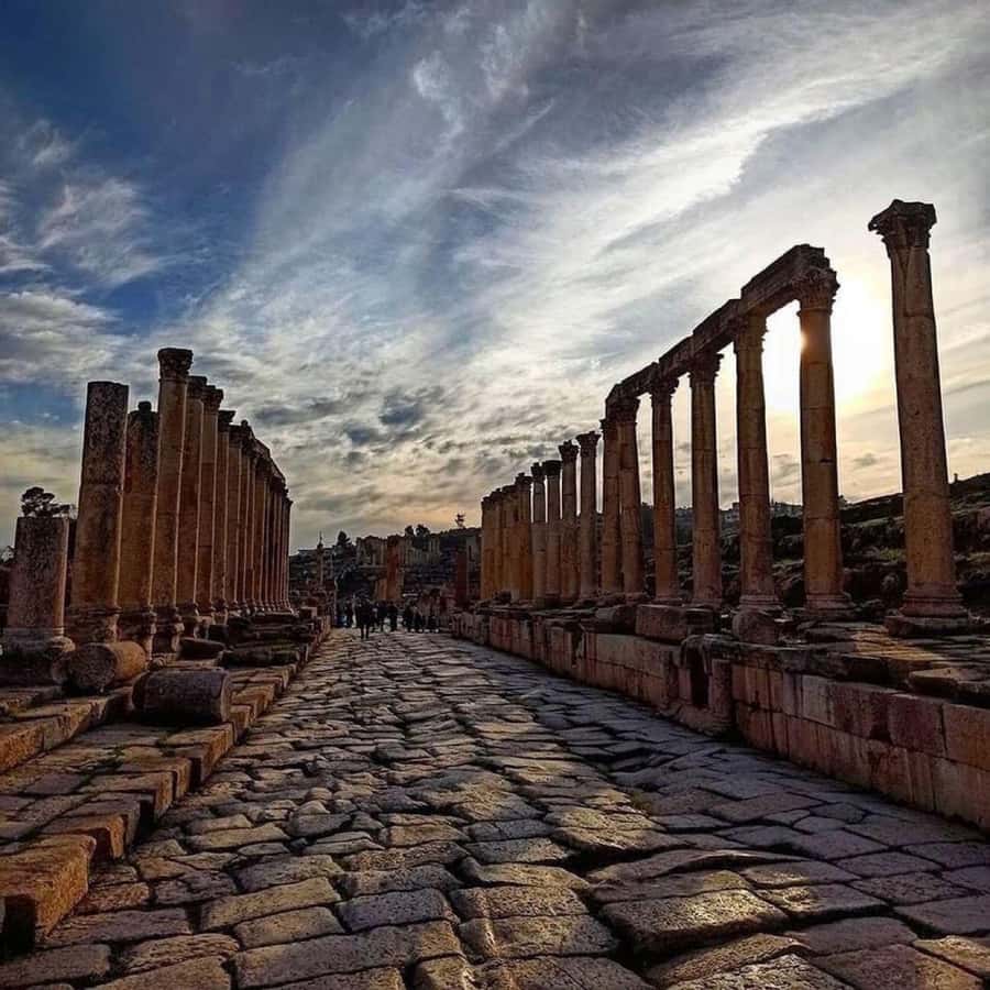 Day Tour Jerash - Ajloun and Um Qais From Amman - Who should book this northern Jordan day trip?