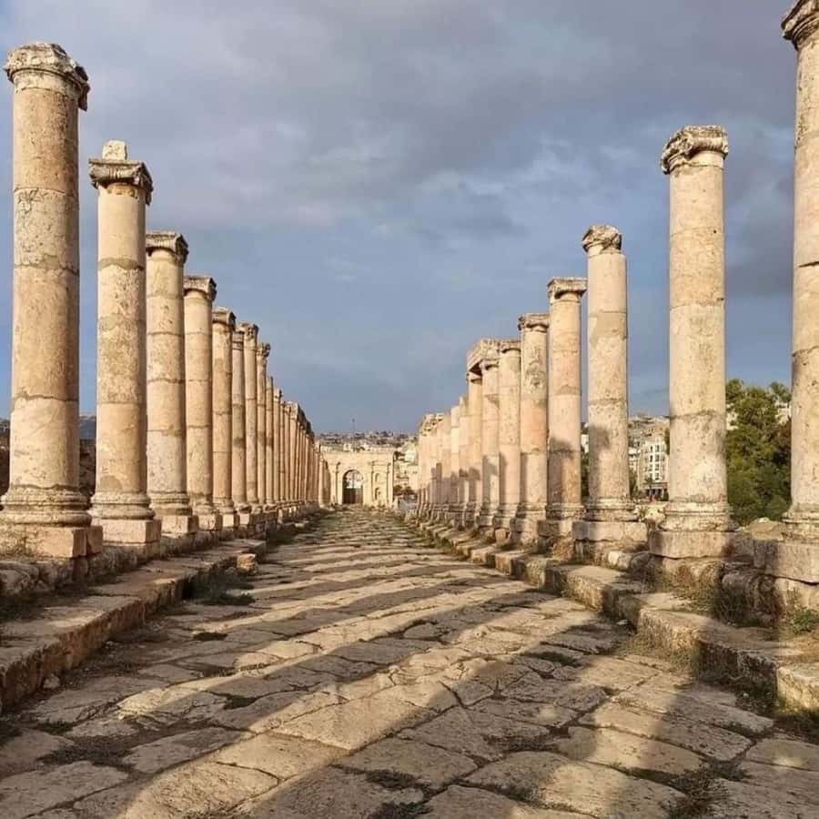 Day Tour Jerash and Amman City Tour From Amman - The route to Jerash in a private vehicle
