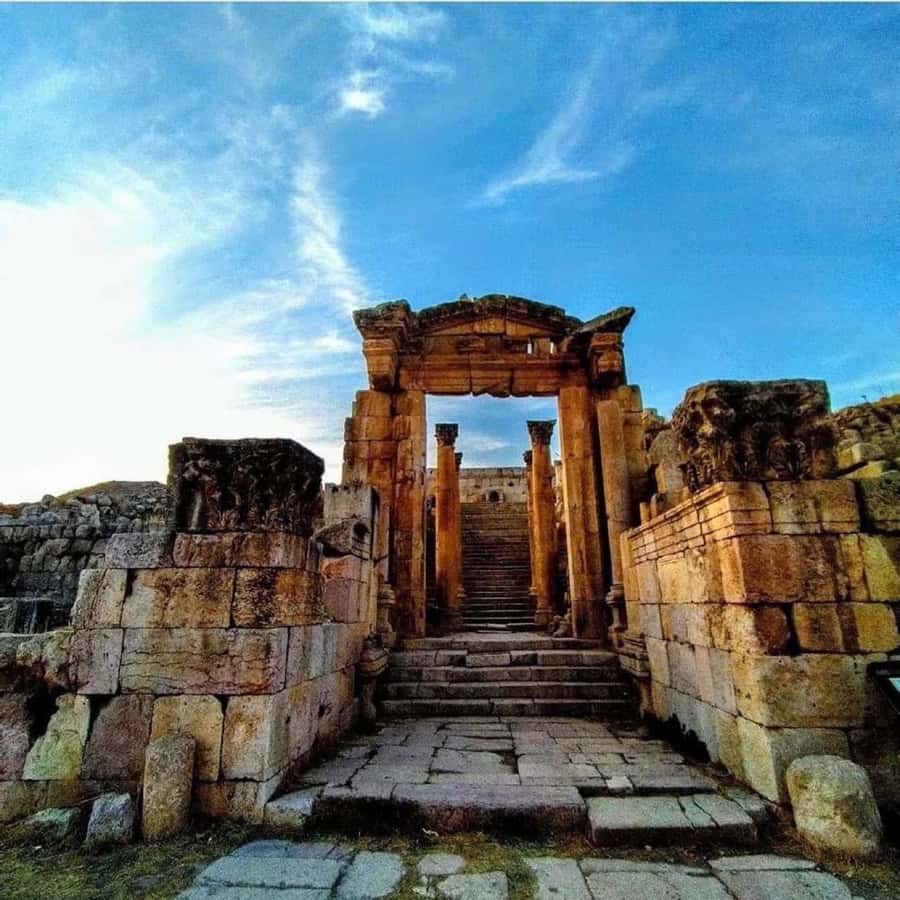 Day Tour Jerash and Amman City Tour From Amman - What the $68 price really covers