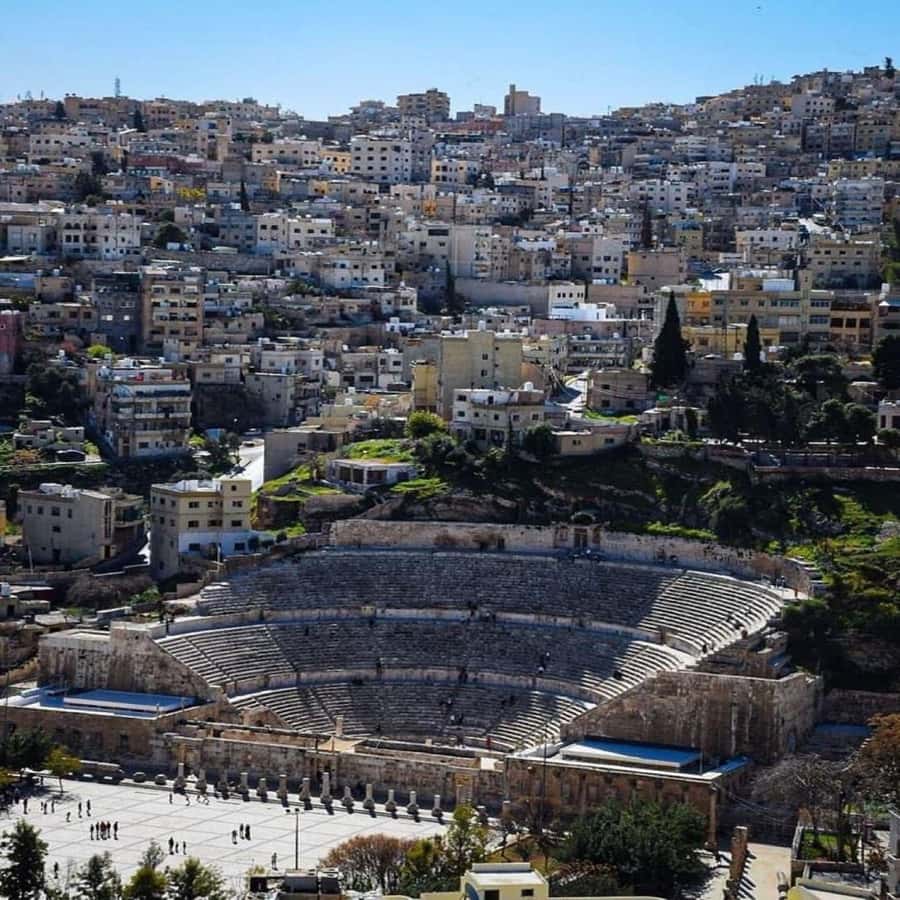 Day Tour Jerash and Amman City Tour From Amman - How to make the most of a driver-led visit