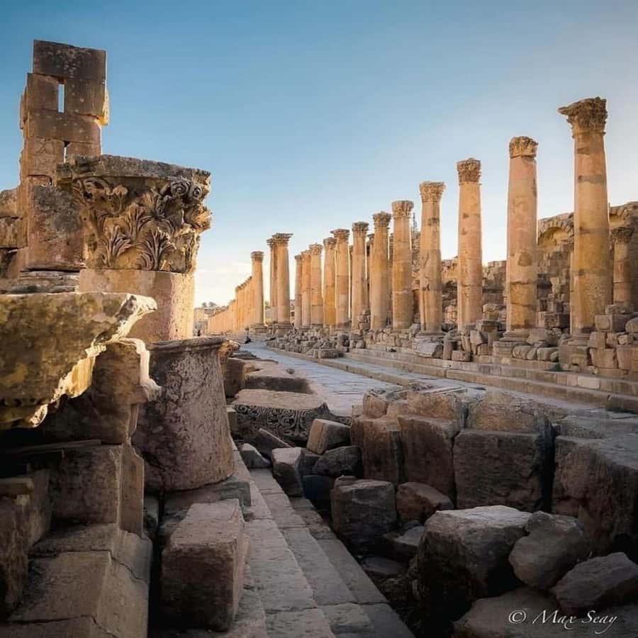 Day Tour Jerash and Amman City Tour From Amman - Should you book the Jerash and Amman tour?