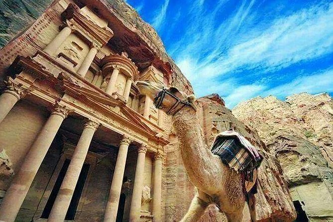 Day Tour to Petra from Amman - Key points to know before booking