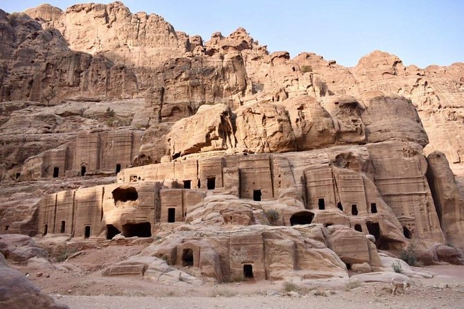 Day Tour To Petra From Amman - Who should book this Petra day tour