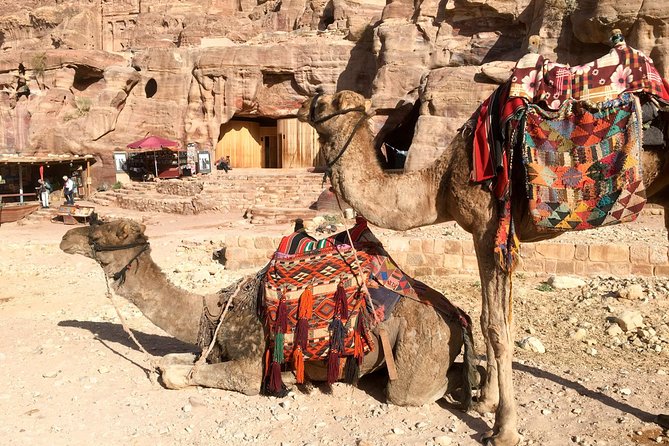 Day Tour to Petra from Aqaba - Why this Aqaba to Petra trip makes sense