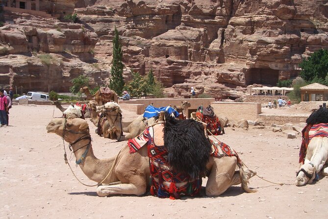 Day Tour to Petra from Dead Sea with lunch - Meeting Your Guide at Petra’s Visitor Centre