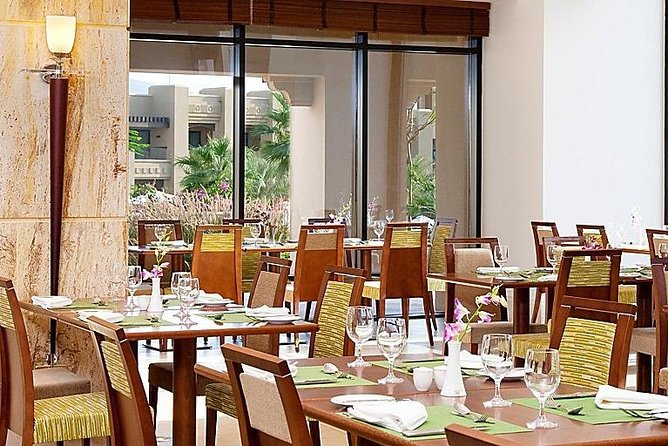 Day use with Lunch at a Dead Sea Resort Private transportation - The private service and driver experience