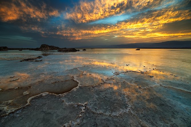 Dead Sea Half-Day Tour from Amman - The driver makes a real difference