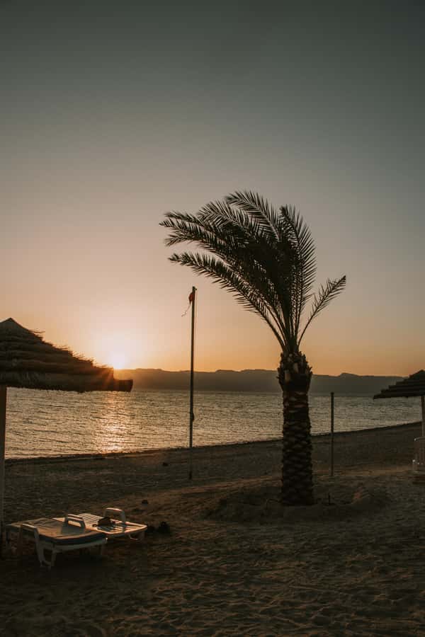 Discover Aqaba in Style: A 3-h City Tour by Car with meal - Red Sea views along the corniche