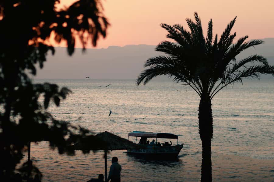 Discover Aqaba in Style: A 3-h City Tour by Car with meal - Food stops are more than a box to tick