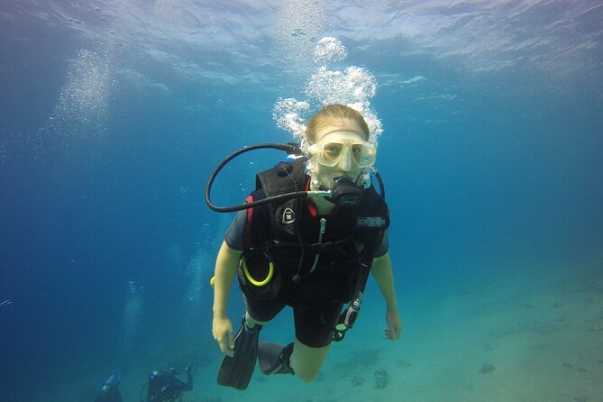 Discover the Depths: Aqaba's Ultimate private Dive Experience - Why Aqaba Works So Well for a First Scuba Session