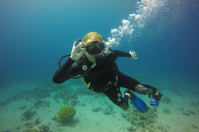 Discover the Depths: Aqaba's Ultimate private Dive Experience - Thirty Minutes Underwater at Up to 12 Meters