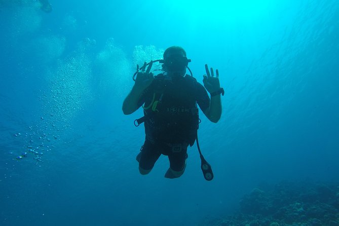 DSD "Discover Scuba Diving" (Min Age 10 Years) - Lunch, drinks, and the value of the $117.95 price