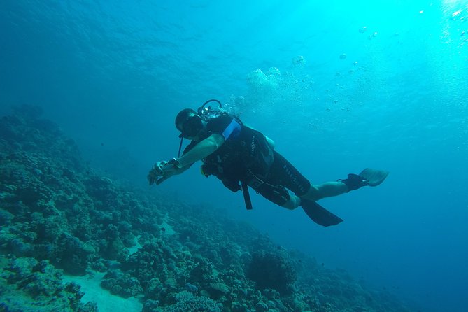 DSD "Discover Scuba Diving" (Min Age 10 Years) - Group size and the feel of the lesson