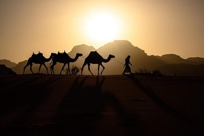 Elite Transfers : Queen Alia Airport to Any Destination in Jordan - Key points at a glance