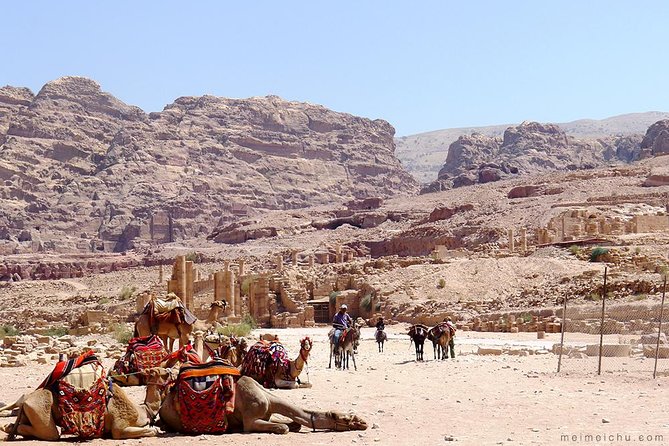 Experience Petra & Wadi Rum in One Day From Amman - The day’s biggest drawback: too much Jordan at once