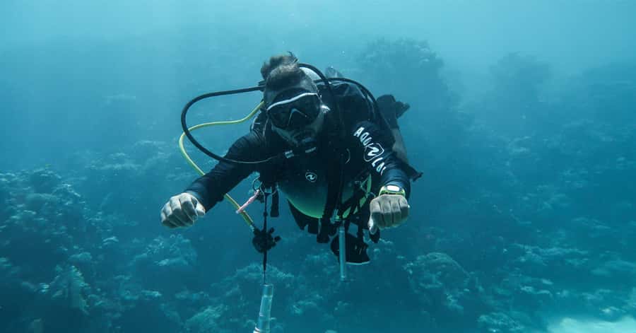 Explore Aqaba's Depths: Scuba Diving Tour, with Hotel Pickup - Aqaba’s underwater world in a compact two-hour outing