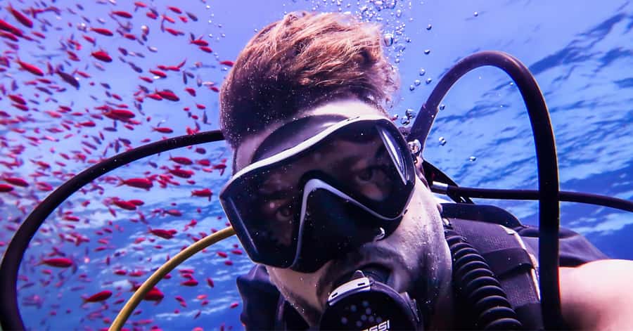 Explore Aqaba's Depths: Scuba Diving Tour, with Hotel Pickup - A short class before your first underwater session