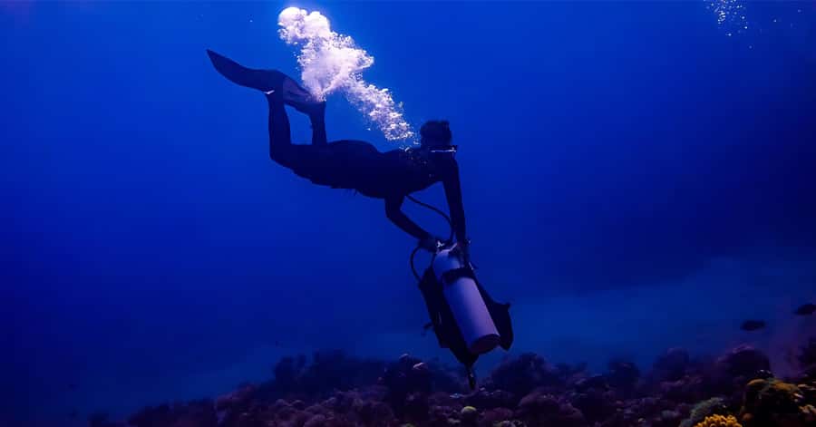 Explore Aqaba's Depths: Scuba Diving Tour, with Hotel Pickup - From Aqaba pickup to South Beach