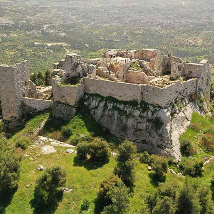 Explore Northern Jordan:Amman to Jerash, Ajloun,and Umm Qais - Is $102 a fair price?