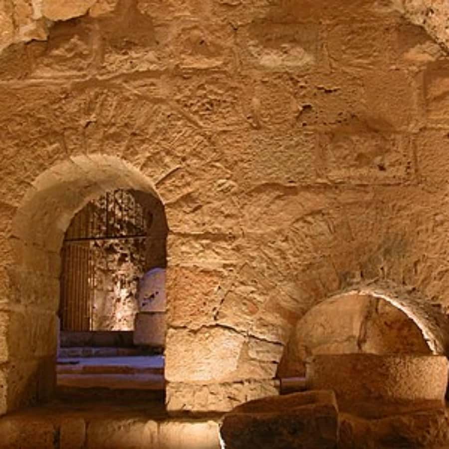 Explore Northern Jordan:Amman to Jerash, Ajloun,and Umm Qais - Practical tips for making the day better