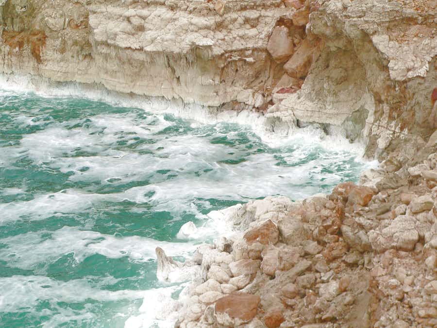 From Amman: 5-Hour Dead Sea Experience with Lunch & Return - Key points at a glance