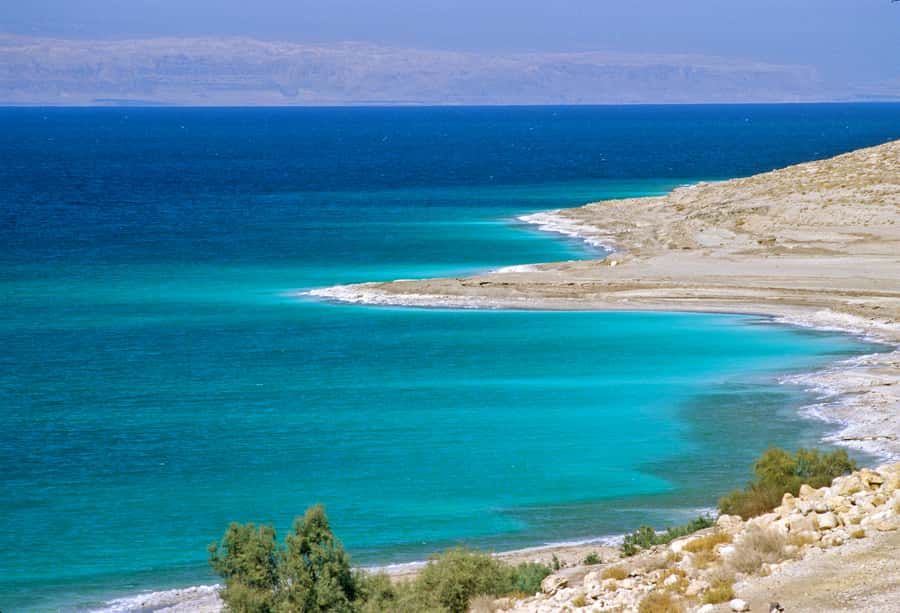 From Amman: 5-Hour Dead Sea Experience with Lunch & Return - Your first float in the salty water