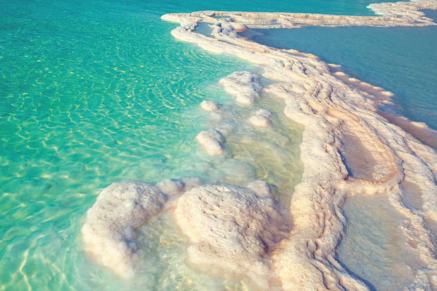 From Amman: 5-Hour Dead Sea Experience with Lunch & Return - Lunch at the resort
