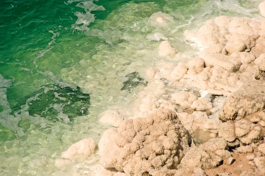 From Amman: 5-Hour Dead Sea Experience with Lunch & Return - What to pack for the salt and sun