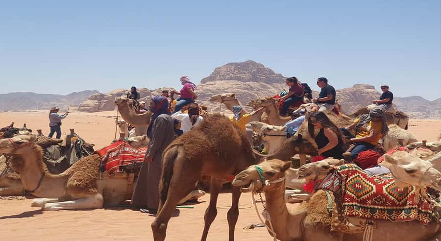 From Amman/Airport: 3-Night Private Jordan Special Tour - Arrival at Queen Alia Airport and first night in Amman