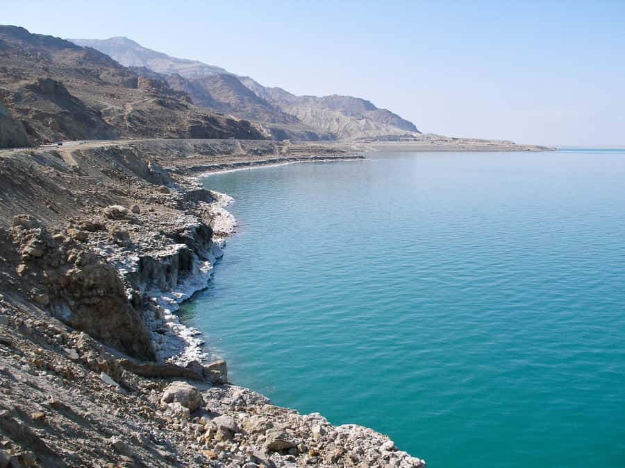 From Amman: Dead Sea 5-Star Resort Day Trip with Lunch - Why this Dead Sea day trip works so well from Amman